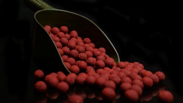 Nectarberry Spice Boilies