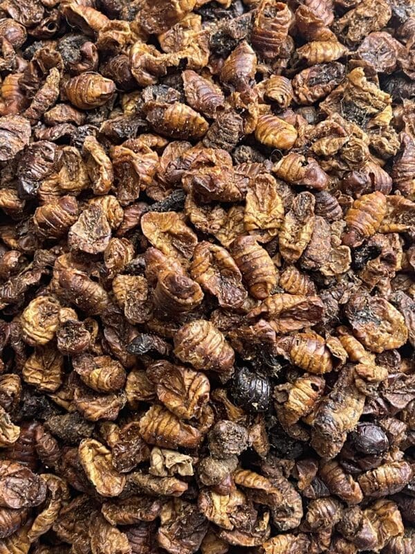 Silkworm Pupae (Dried)