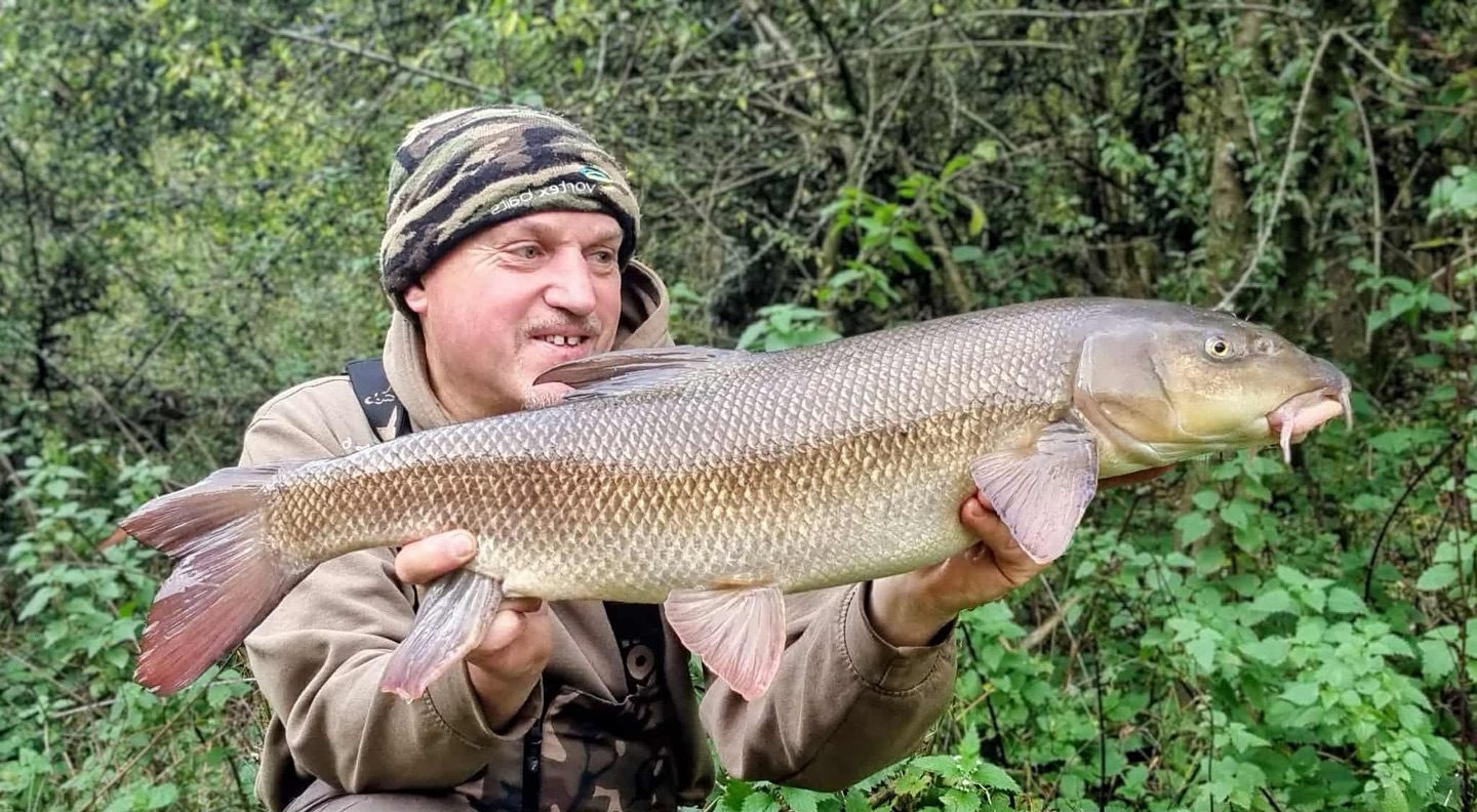 It’s always a good batch of reports when it features our man @garym7 

“Back on the Severn this morning and it was back on the rise & full of leaves, managed to nick one early door’s courtesy of a 14mm Frankfurter Spice & Red Salmon Boosted Hook Pellet, tried a few more swims afterwards but no takers, one from Joshua Childs who also netted a gold bar after moving swims, autumn colours looking splendid now good time to be on the bank’s”

👉 https://vortexbaits.com 👈 

#vortexbaitsofficial  #teamvortex #hydroshrimp  #furterpellet  #riversevernbarbel #barbelfishing #river #lovefishing #angler #hydroshrimp #cocoonboilies #boostedcocoonspecials #fishingislife #fishinglife #fishing #instafish #angling #fishpics #follow #banklife #riverfishing #fishingrod #fishingrods #fishing🎣 #fishingtrip #angling #fishingday #Insectomorph #barbelfishingcompetitions #cko #picoftheday #fish