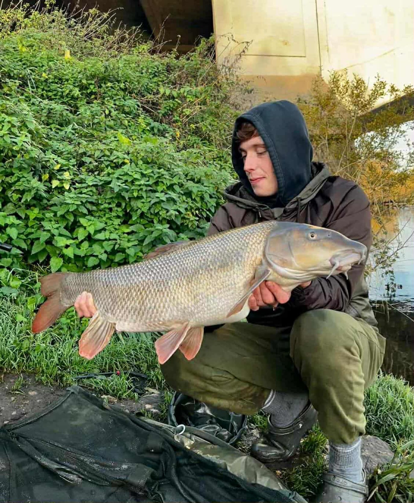 Our mate @ho03_joe had a corker during a trip to the Newark Trent, with this absolute unit putting a right old bend in the rod!!

This stunning specimen took the scales round to a respectable 15lb 10oz, what a cracking new PB!

Our Boosted Hook Pellets doing the usual!

👉 https://vortexbaits.com 👈 

#vortexbaitsofficial  #teamvortex #hydroshrimp  #furterpellet  #rivertrent #barbelfishing #river #lovefishing #angler #hydroshrimp #cocoonboilies #boostedcocoonspecials #fishingislife #fishinglife #fishing #instafish #angling #fishpics #follow #banklife #riverfishing #fishingrod #fishingrods #fishing🎣 #fishingtrip #angling #fishingday #Insectomorph #barbelfishingcompetitions #cko #picoftheday #fish