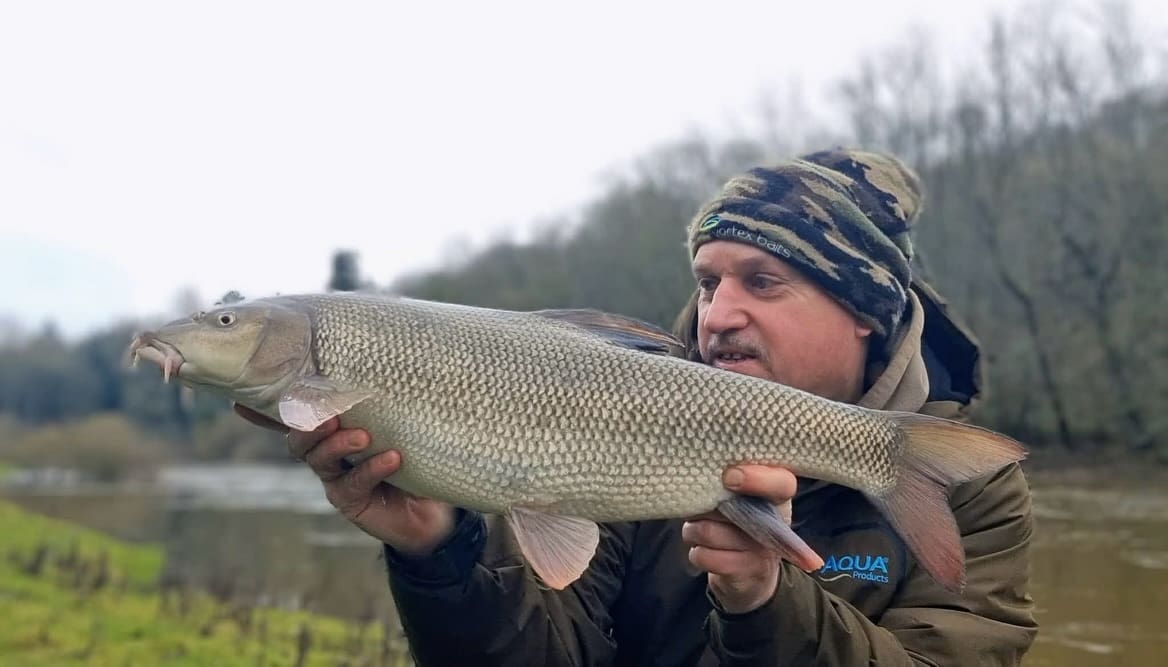 Last but by no means least is our man on the Severn @garym7 with some hard earned bars of gold!

With the first swim being a no go due to very high levels, plan b worked out well, mixing up two baits to keep the bites coming, Dark C.K.O. Cocoons, Frankfurter Spice & Red Salmon Boosted Hook Pellets & Meat all delivering a bite or 2, these  beauties being the best ones of the day! 

Well dangled Gaz!

👉 https://vortexbaits.com 👈  #vortexbaitsofficial  #teamvortex #hydroshrimp  #furterpellet  #riversevern