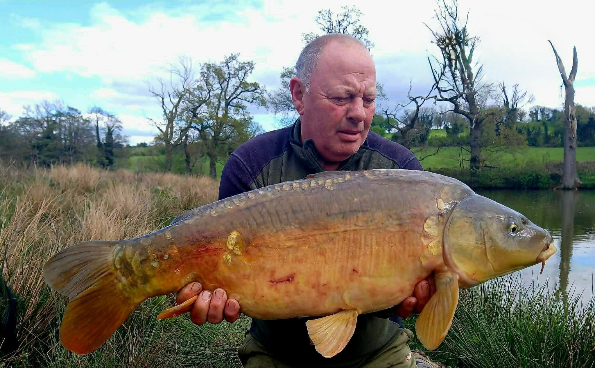 Good afternoon all, it’s finally Friday! Another busy week at HQ just about over the line.

Just to reiterate that we’re not posting orders until week commencing 25th May. 

Now for some catch reports, starting off with Paul Amos and the capture of “Raspberry” from his local syndicate water.

The mighty C.K.O. Wafters over matching bottom baits doing the trick for this lovely 20!

Nicely done Paul!

👉 https://vortexbaits.com 👈 

#carpfishing #ukcarp #carpfishinguk #commoncarp #vortexbaitsofficial