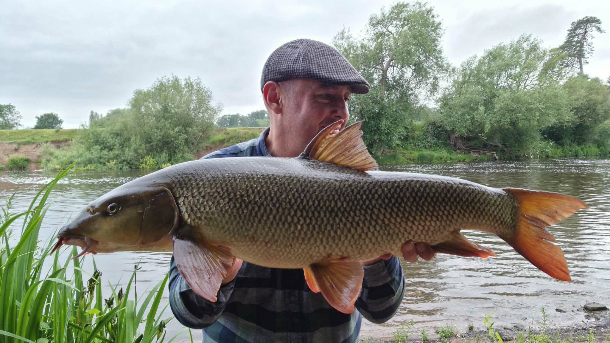 Another Andy this time , and another river!  This is @dusk_to_dawn_piking who has dusted off the barbel gear off, and hit the ground running, with this superb Lower Severn 15lber!

This clean, stunning fish took a fancy to a paste wrapped 20mm Frankfurter Spice & Red Salmon Boosted Hook Pellet!

If last season is anything to go by, we can expect some serious fish coming from this angler!

Nicely done Andy!

👉 https://vortexbaits.com 👈 

#vortexbaitsofficial  #teamvortex #hydroshrimp  #furterpellet  #barbel