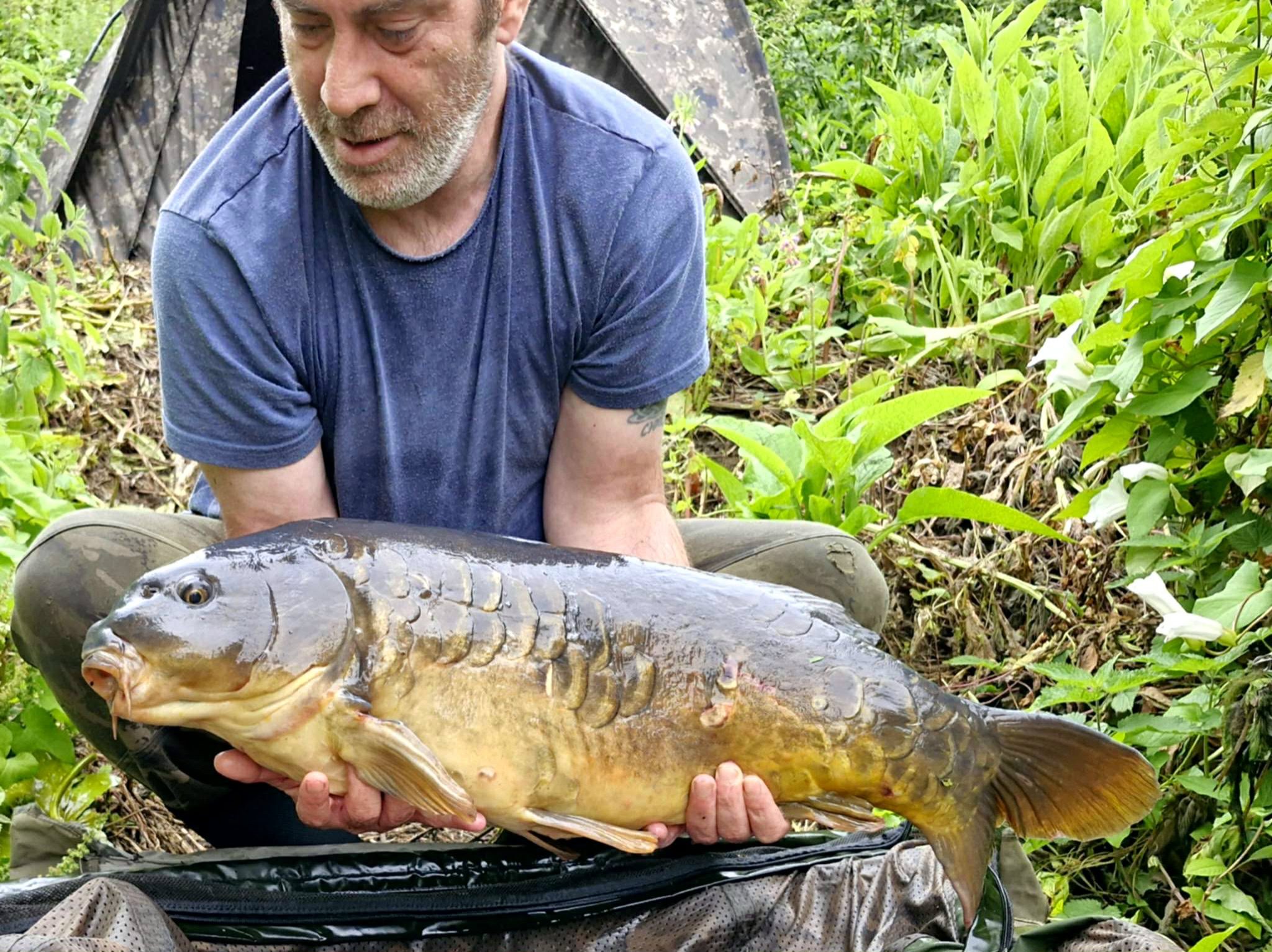 Another superb Trent Carp now, courtesy of Jeff Hunt and our B.P.T. Range!

This lovely mirror specimen gave a heck of a scrap before finally being subdued to the net!

Well done Jeff! 

👉 https://vortexbaits.com 👈  #vortexbaitsofficial  #teamvortex #hydroshrimp  #furterpellet  #barbel l