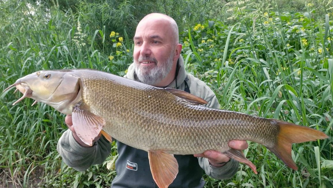 It’s always good to see @andyriley1969 on the fish, this being the first session on the Ribble this season.

Armed with our 14mm Frankfurter Spice & Red Salmon Boosted Hook Pellets, and feeding mixed pellets in PVA Bags, these were the best of 4 barbel hitting the net!

Well done Andy!

👉 https://vortexbaits.com 👈 

#vortexbaitsofficial  #teamvortex #hydroshrimp  #furterpellet  #riverribble