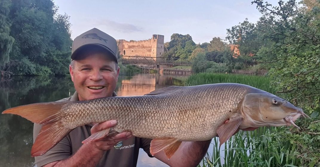 As is customary, after 16th June we like to unleash our tame Barbel Whisperer upon the Trent, where he can often be heard shrieking “My Precioussssss” whilst clutching a palmful of C.K.O. Boosted Cocoons!

Smashing the start of the season in Middle Earth, better known as Bobs Island, this stunning selection of Barbel fell to our Hydroshrimp Cranberry Shellfish & C.K.O. Boosted Cocoons!!

Nicely done as always treacle!

#vortexbaitsofficial #rivertrent #barbelfishing #angler #fishingislife