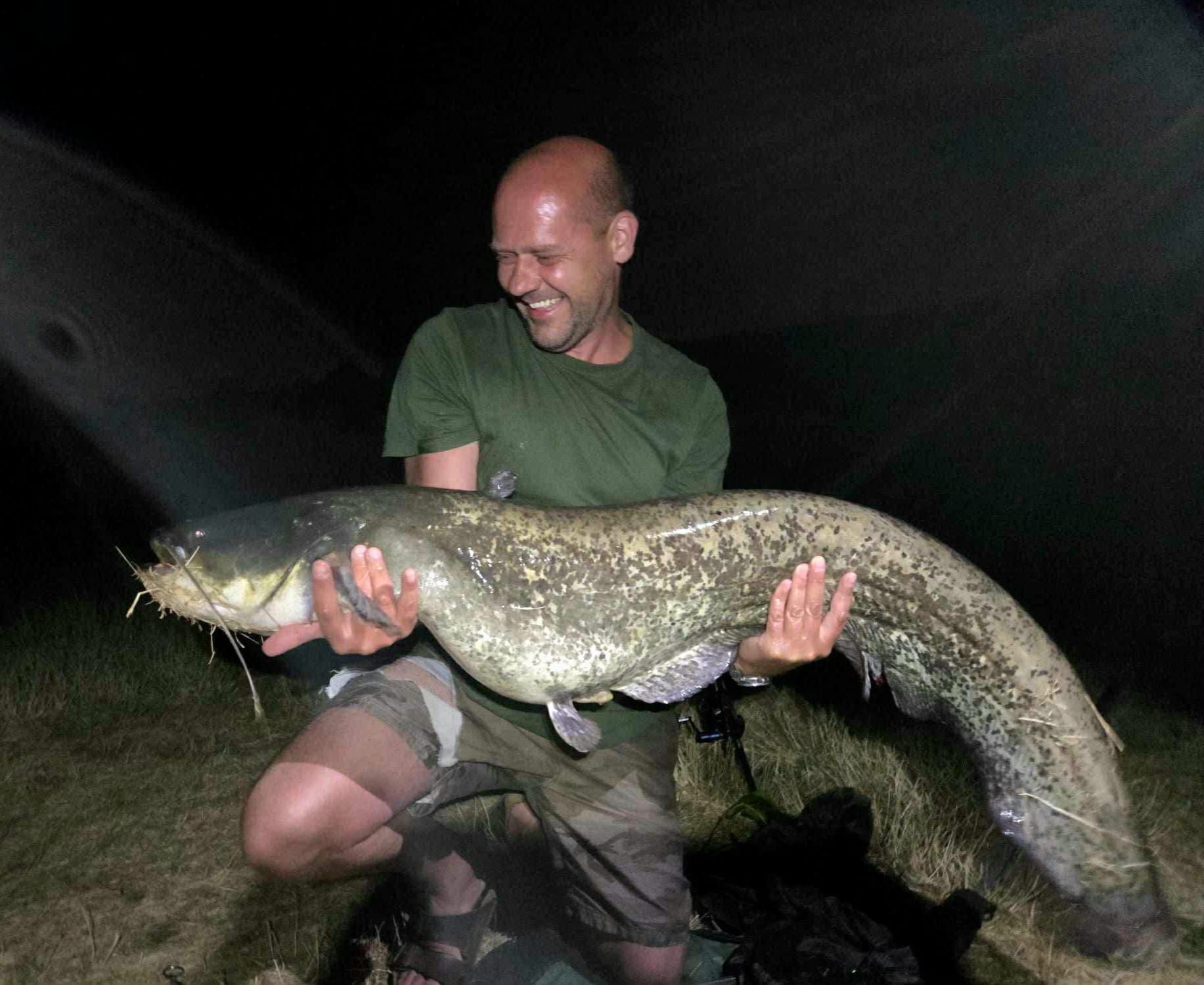 Well finish off on the Trent, with one of the biggest fish we’ve seen so far, one of the elusive Wels cats, courtesy of customer Ryan Evans!

This titanic tadpole took a fancy to our C.K.O. Cocoons, which just does confirm that pretty much any species likes a bit of Crab, Krill & Oyster!

What an incredible capture, seriously arm aching action!

Well in Ryan!

#vortexbaitsofficial #rivertrent #trentcatfish #angler #fishingislife