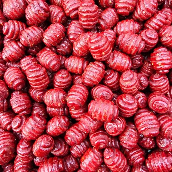 Hydroshrimp Cranberry Shellfish Cocoon Boilies