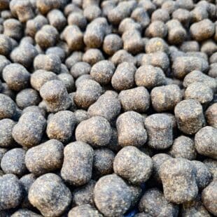 Insecto-Morph Barrel Boilies
